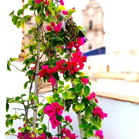 Terrazas De San Juan Malaga